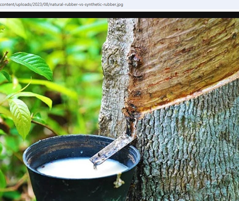 لاستیک طبیعی